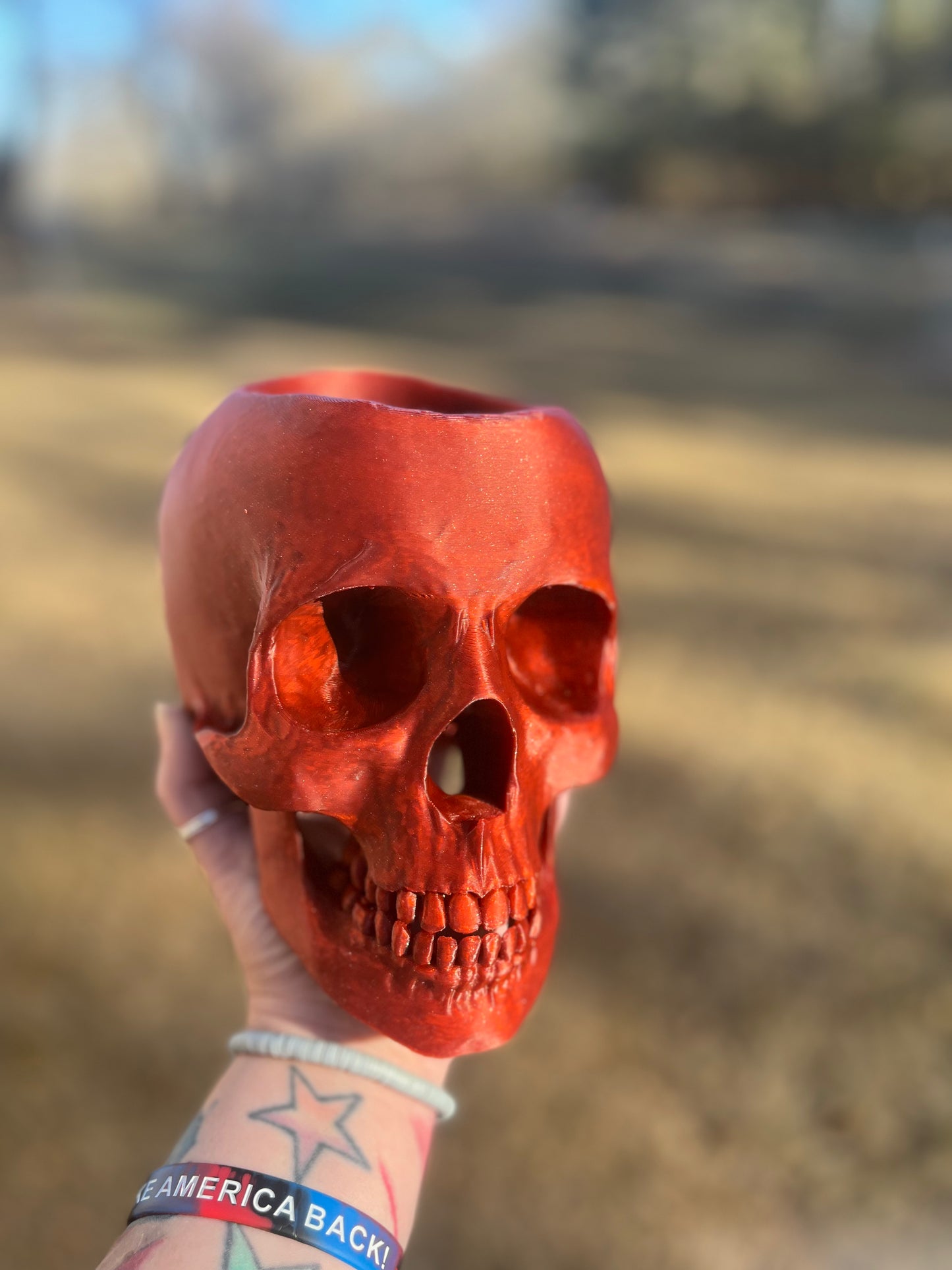 Skull Desk Organizer/Planter