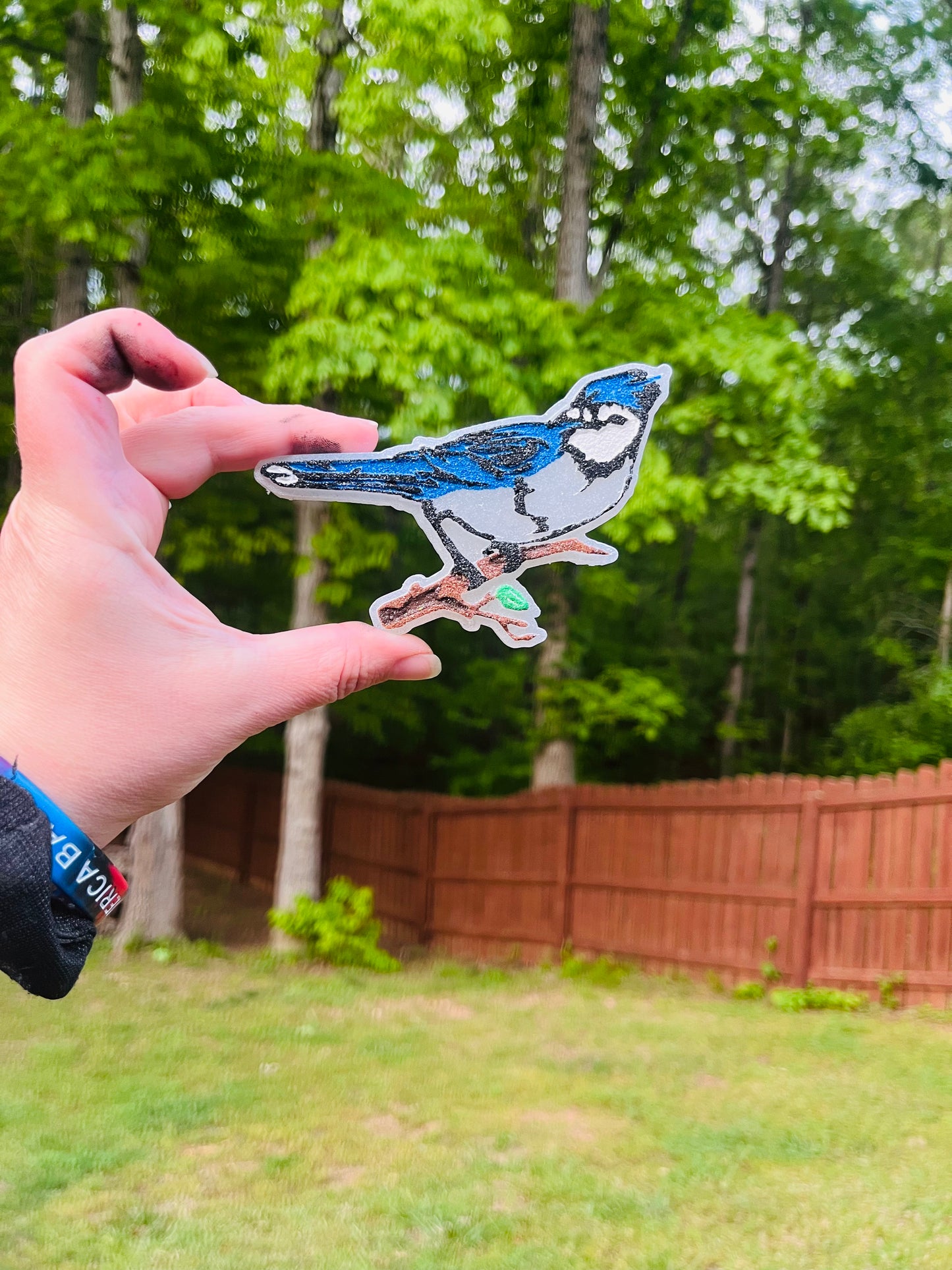 Blue Jay