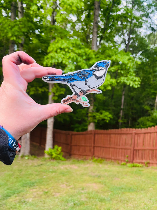 Blue Jay