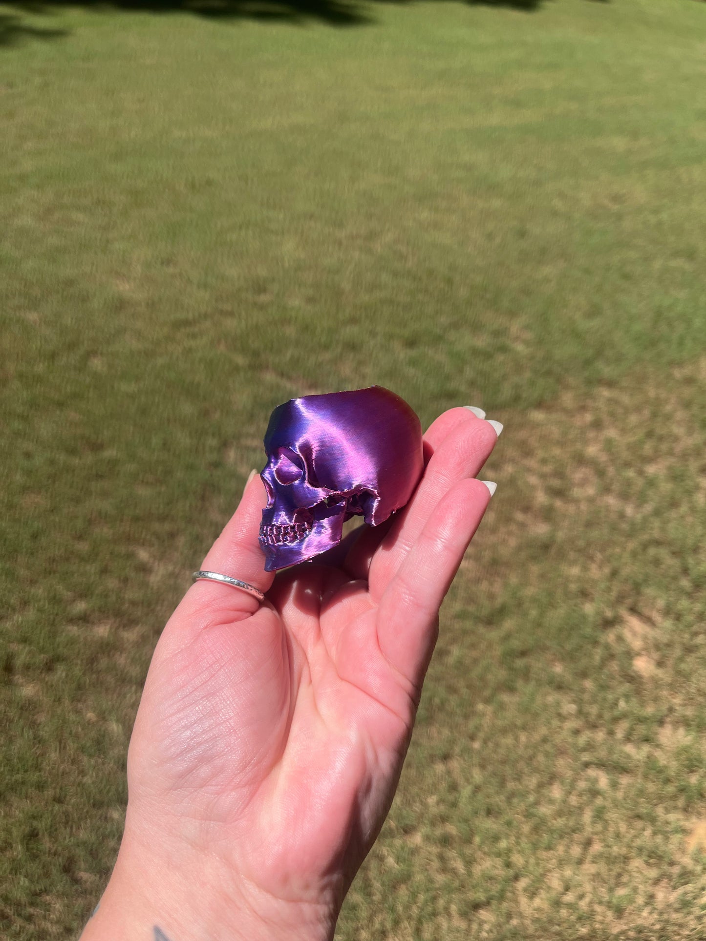 Skull Desk Organizer/Planter