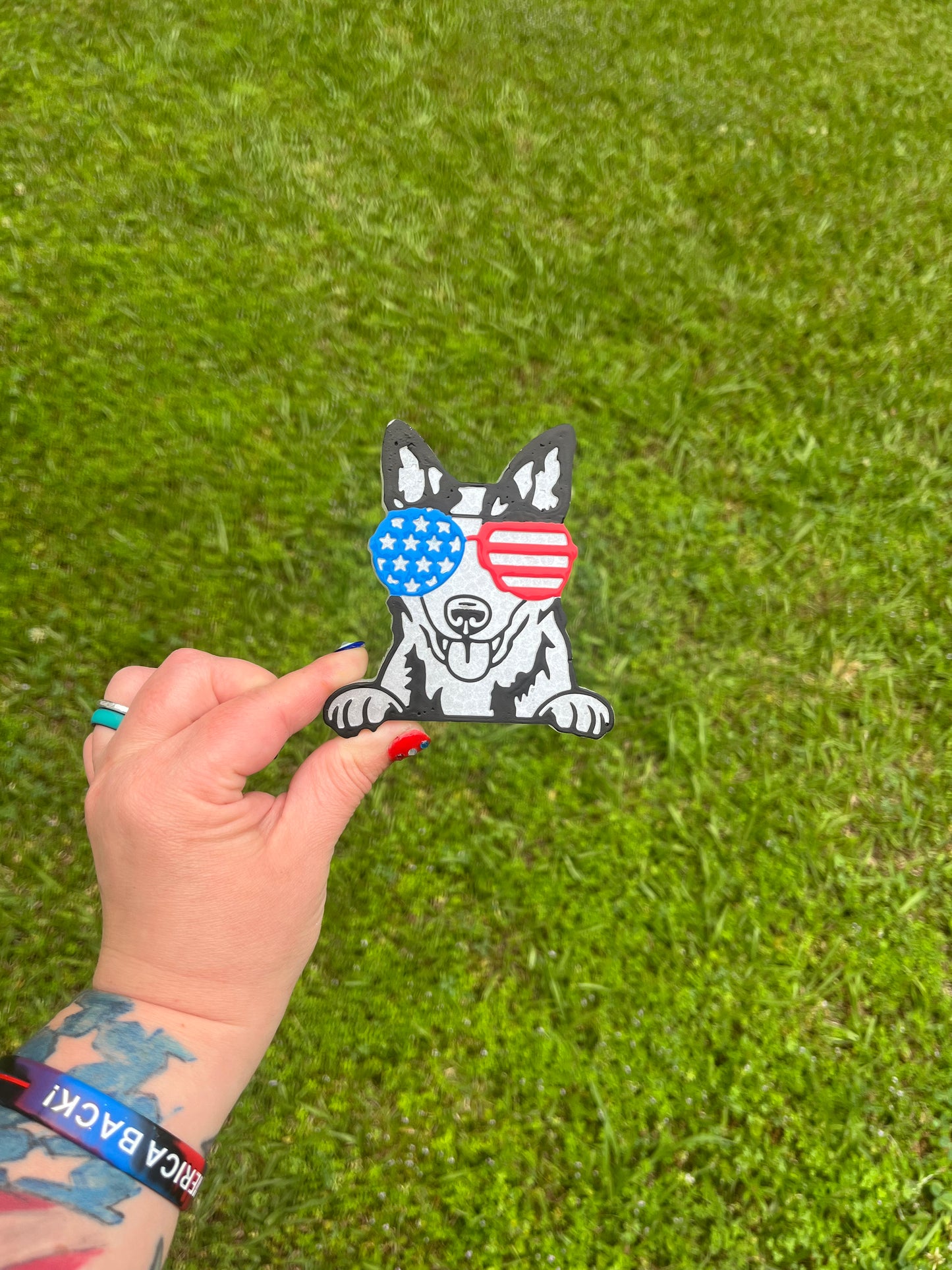 Patriotic Dog