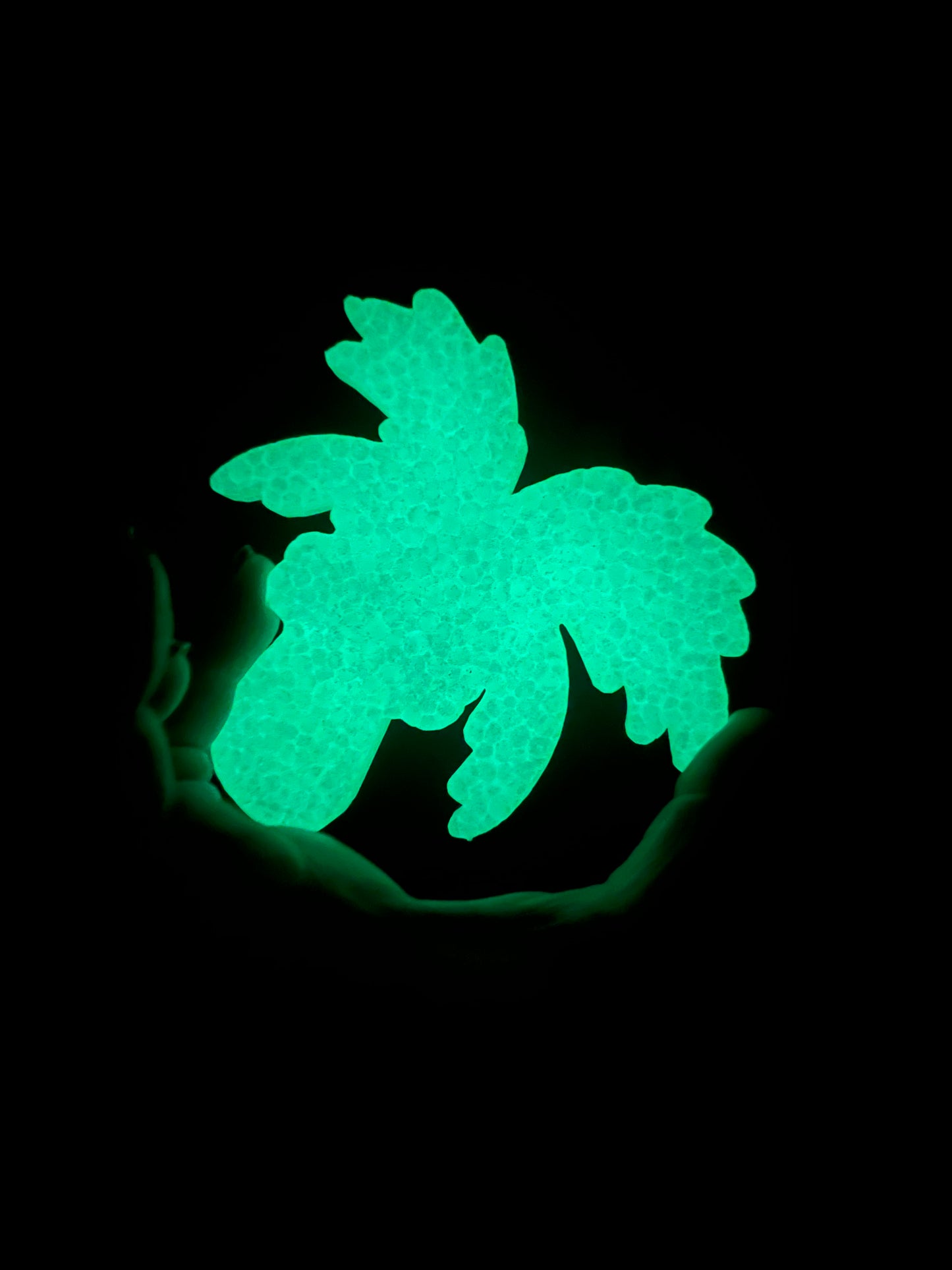 Groovy Palm Tree 🌴 (Glow in the Dark)