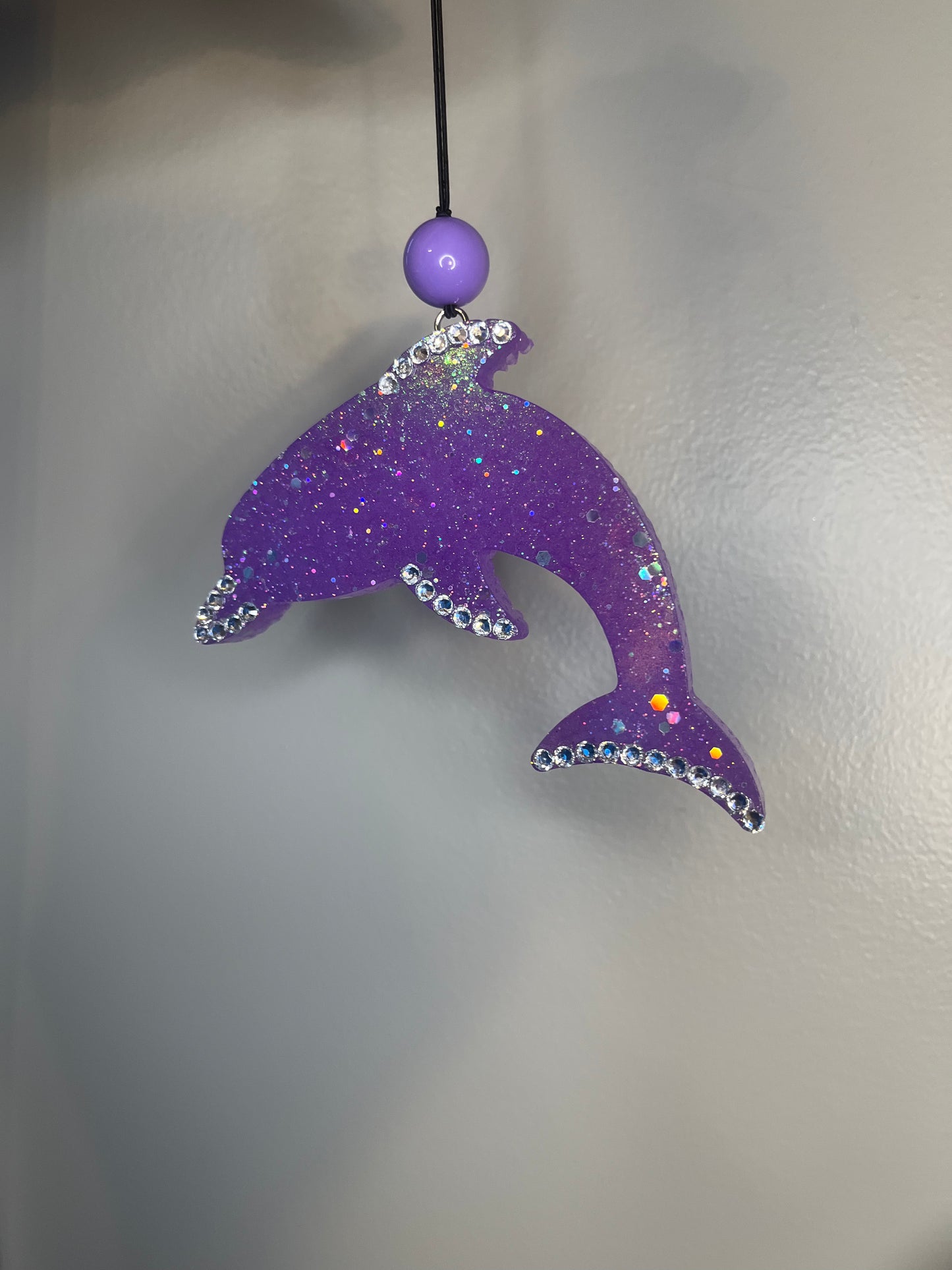 Dolphin Freshie